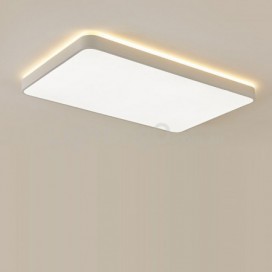 Modern Contemporary Rectangle Stainless Steel Flush Mount Ceiling Light