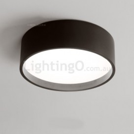 Modern Contemporary Round Stainless Steel Flush Mount Ceiling Light