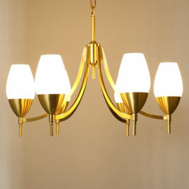 Fine Brass 6 Light Chandelier with Glass Shades