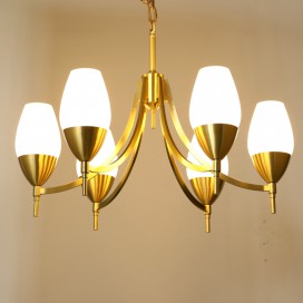 Fine Brass 6 Light Chandelier with Glass Shades