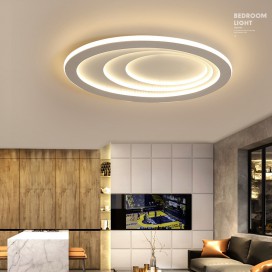 Oval Modern Contemporary Stainless Steel Flush Mount Ceiling Light