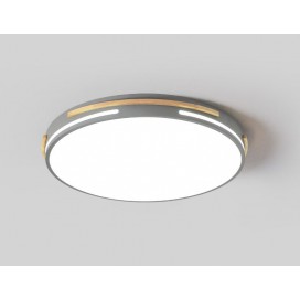 Modern Contemporary Round Stainless Steel Flush Mount Ceiling Light