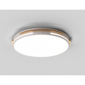 Modern Contemporary Round Stainless Steel Flush Mount Ceiling Light