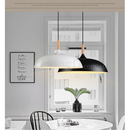 1 Light Modern/ Contemporary Metal Pendant Light