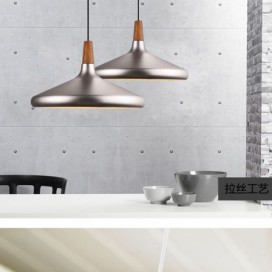 Modern/ Contemporary Metal 1 Light Pendant Light